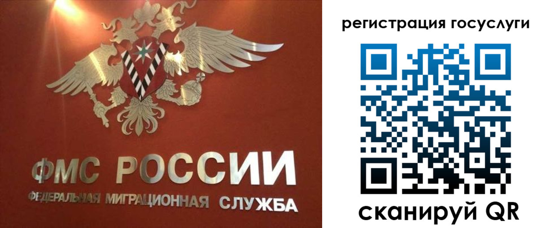 прописка ребенка в Новозыбкове